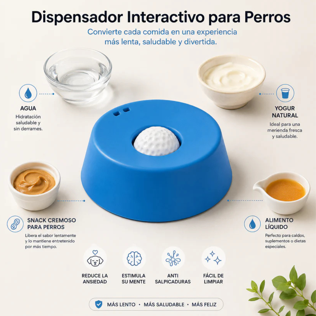 pawmora menos estrés para tu mascota.